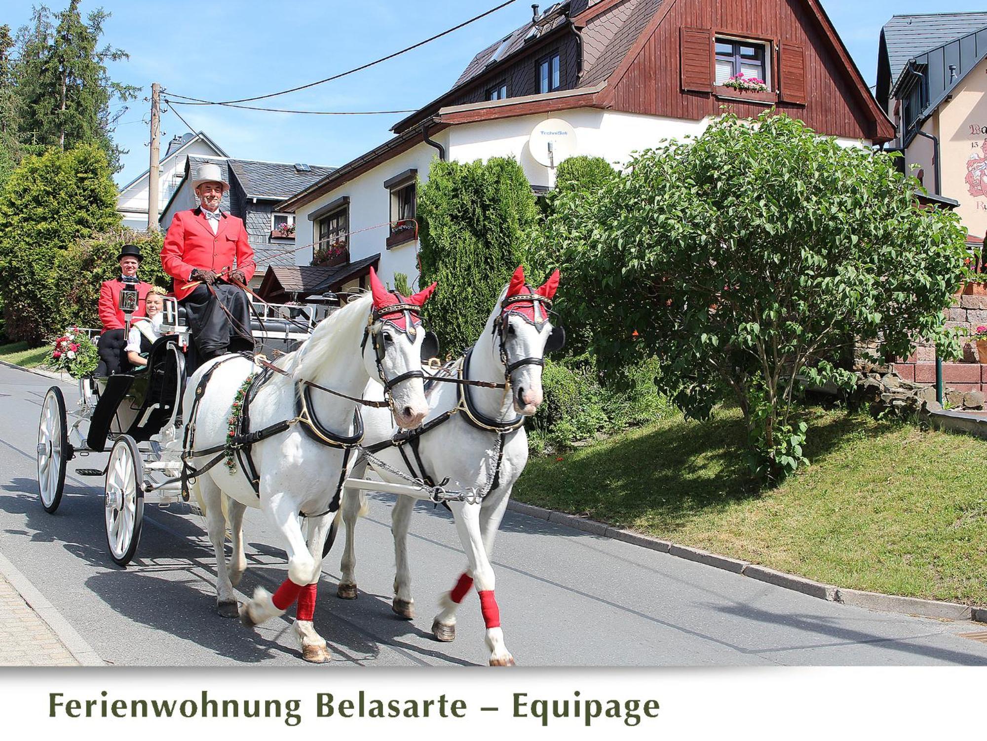Ferienwohnung Belasarte Bad Elster Exterior photo