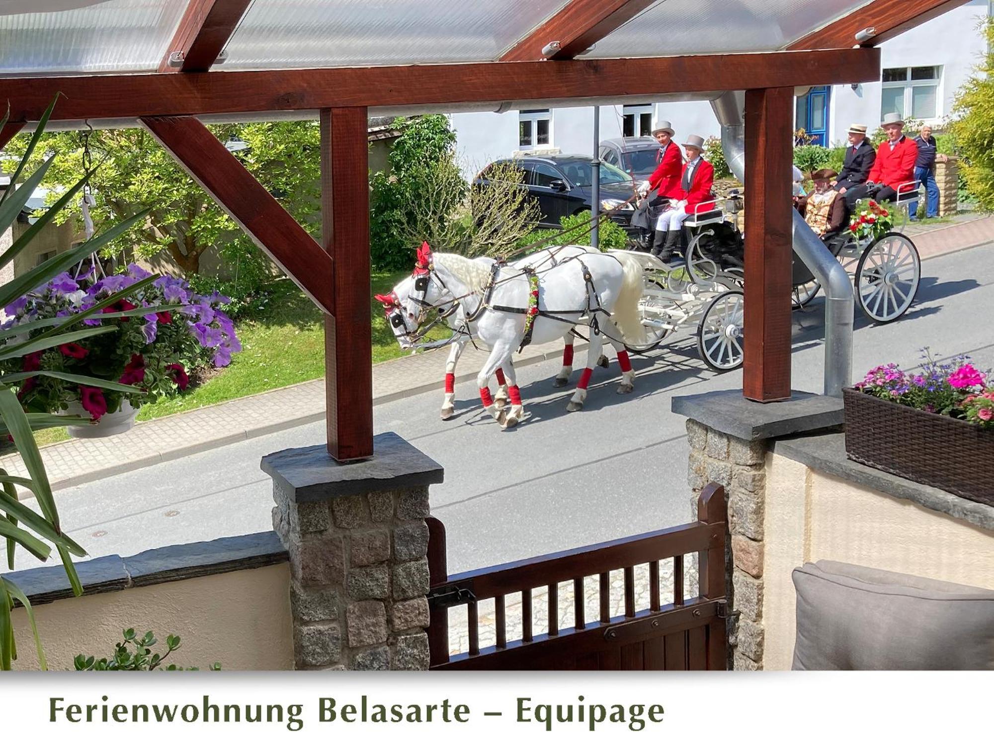 Ferienwohnung Belasarte Bad Elster Exterior photo